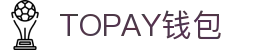 TOPAY钱包 - 安全便捷的个人财务管理工具
